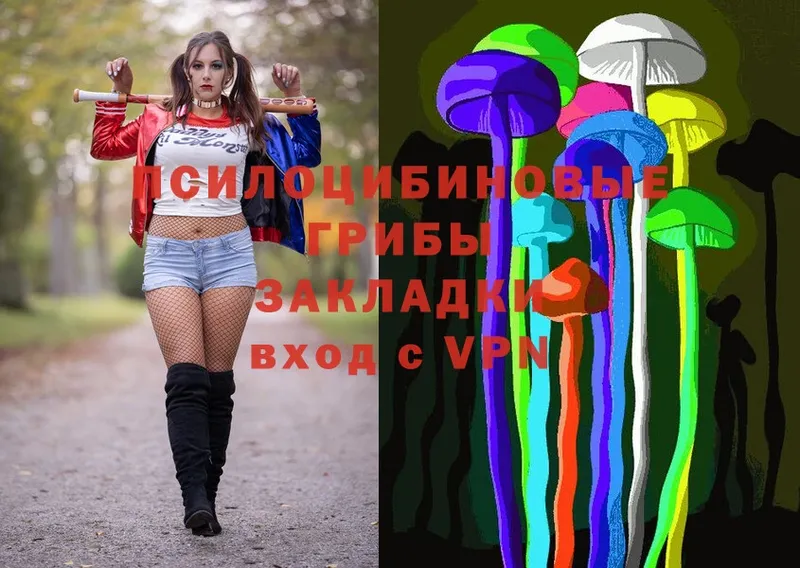 где продают   MEGA ONION  Галлюциногенные грибы мухоморы  Арск 